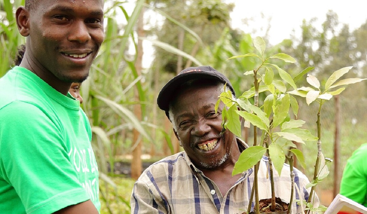 Des Kenyans tenant des jeunes arbres