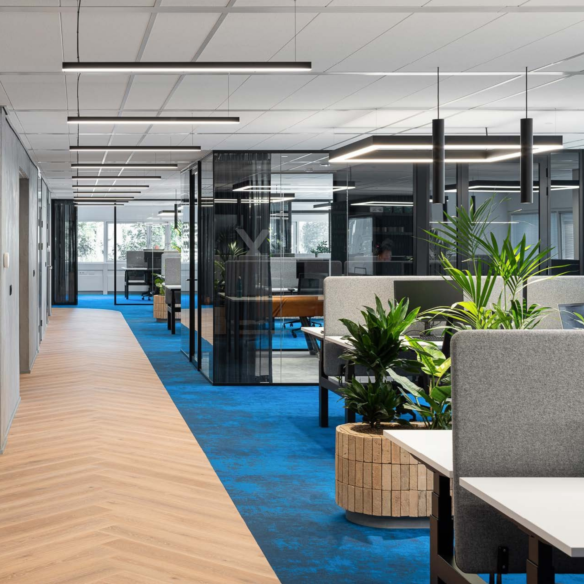 Bureau de Spacewell à Arnhem